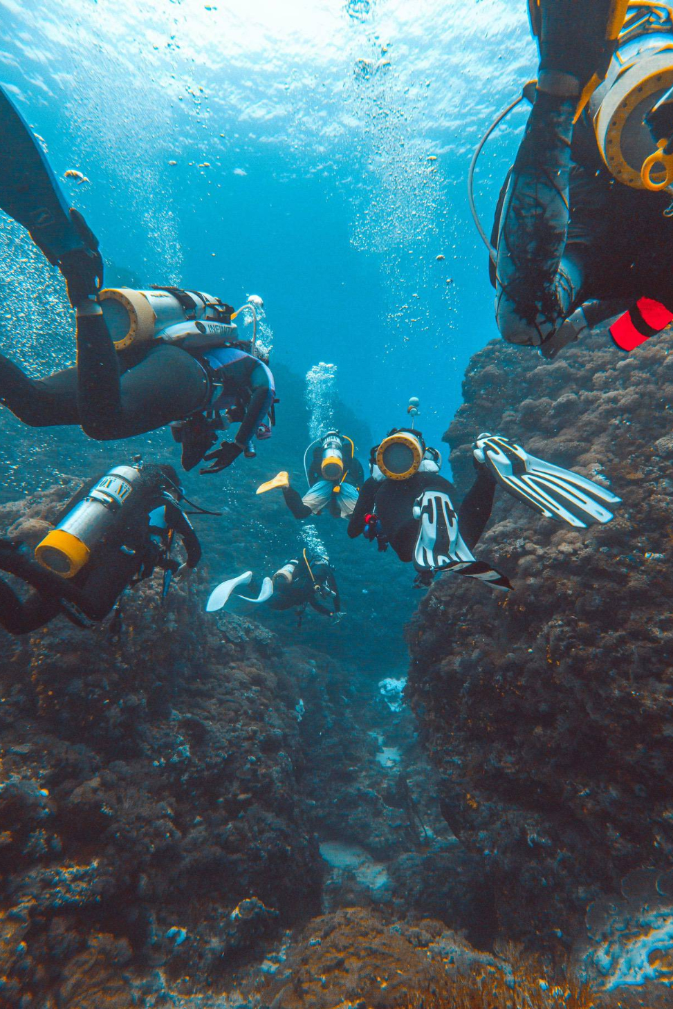 four people underwater deep sea diving