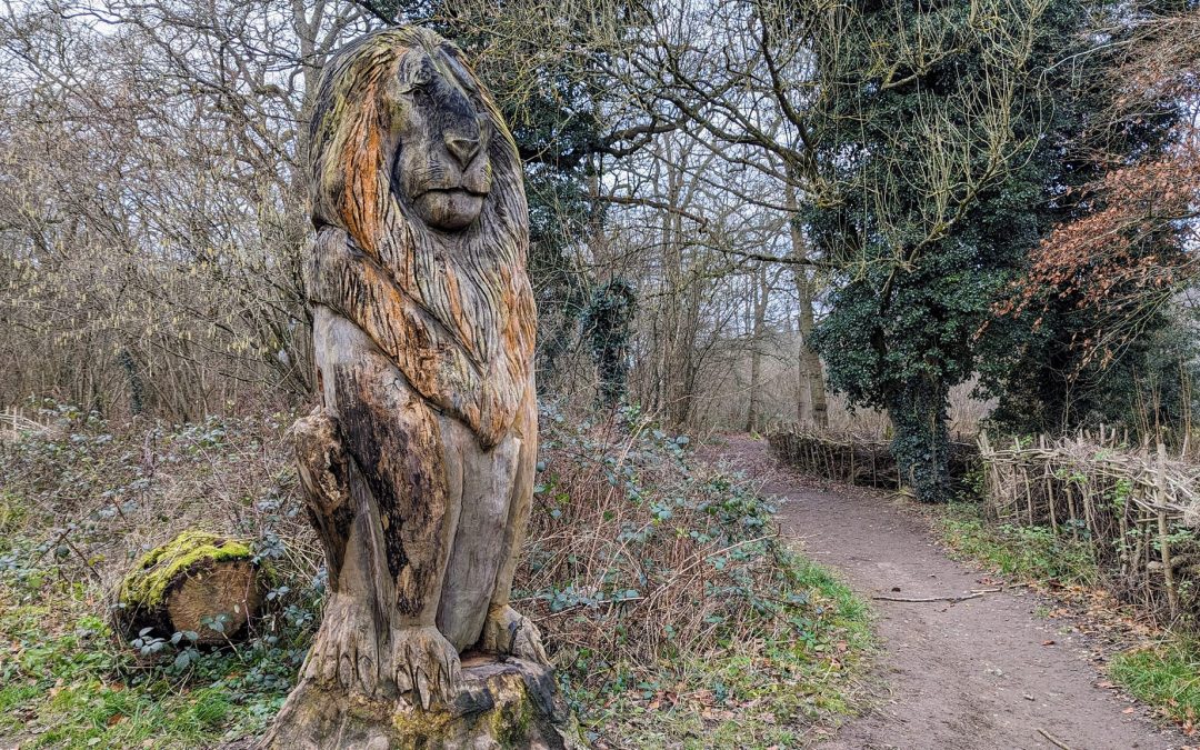 Into Banstead Woods: let’s take a quiet walk