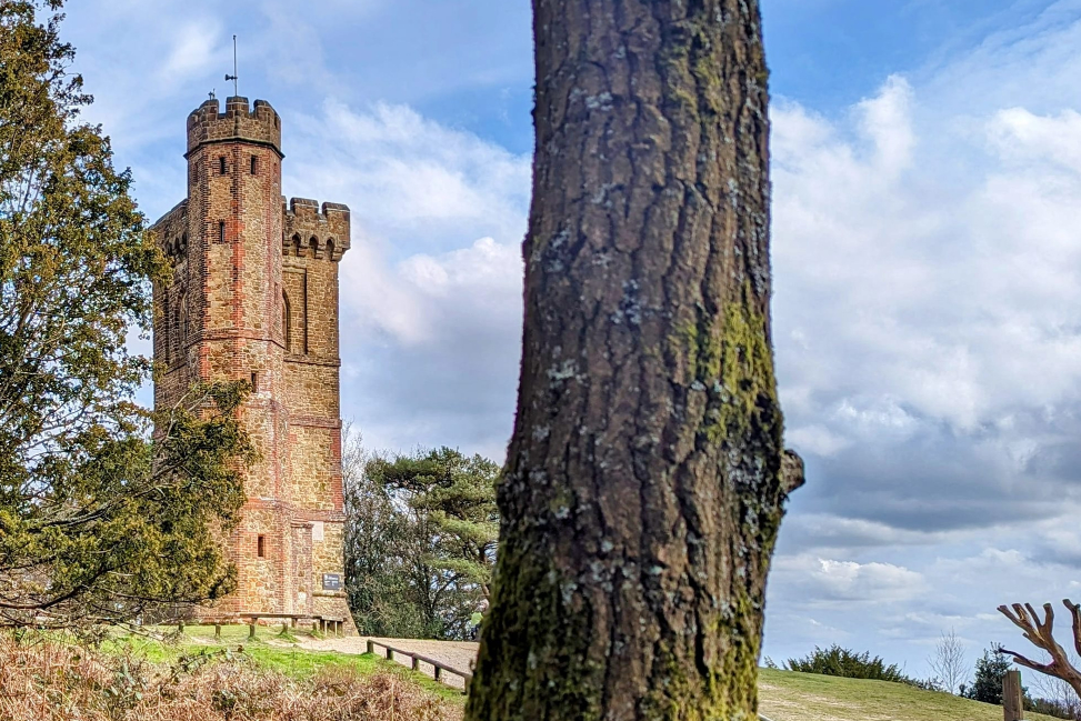 Leith Hill On A Beautiful Sunny Day