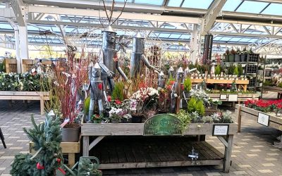 Visit A Garden Centre For Festive Fun In December