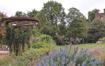 Chelsea Physic Garden London: the garden retreat in Chelsea